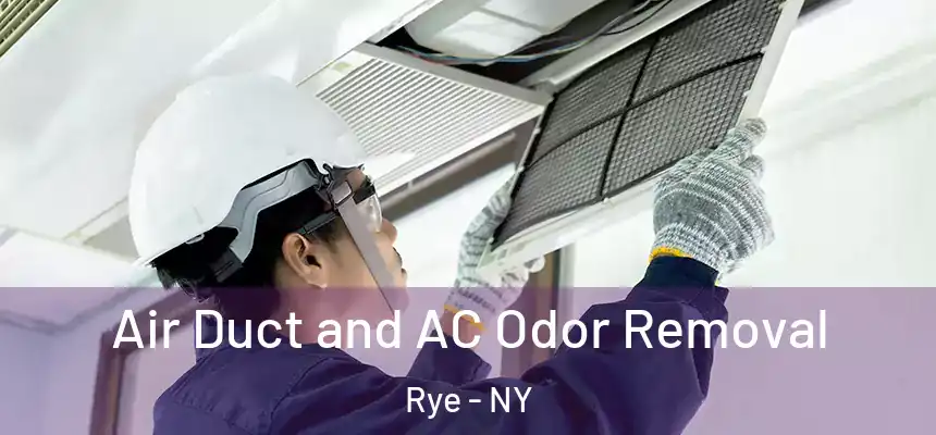  Air Duct and AC Odor Removal Rye - NY