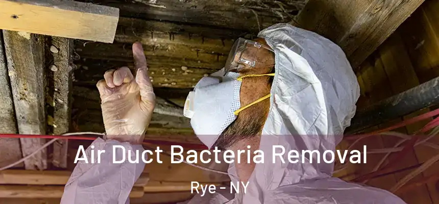  Air Duct Bacteria Removal Rye - NY