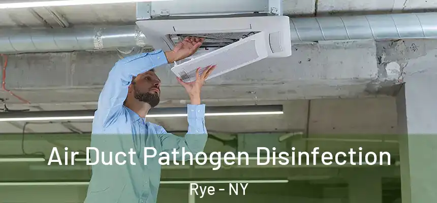  Air Duct Pathogen Disinfection Rye - NY