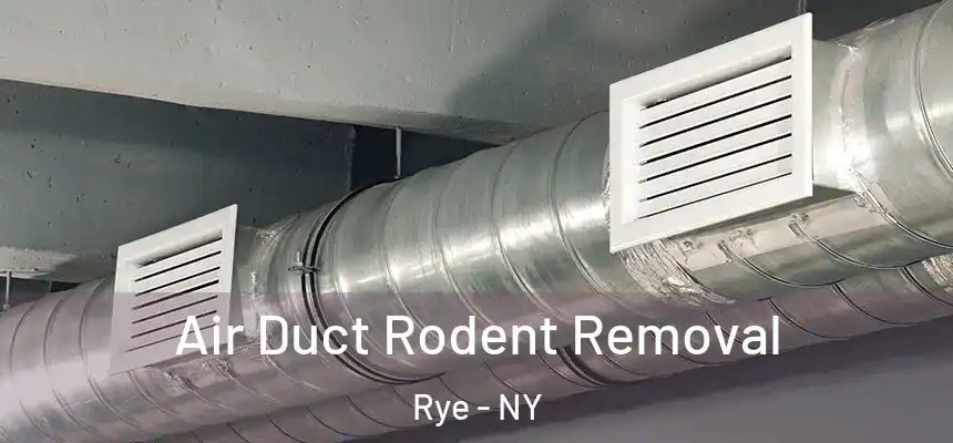  Air Duct Rodent Removal Rye - NY