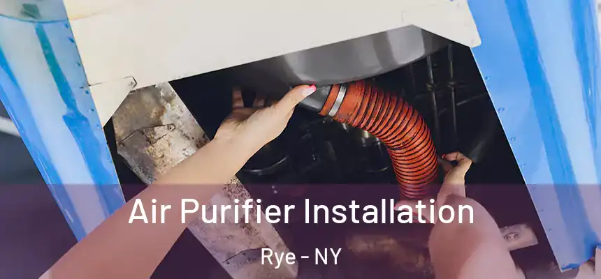  Air Purifier Installation Rye - NY