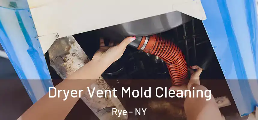  Dryer Vent Mold Cleaning Rye - NY