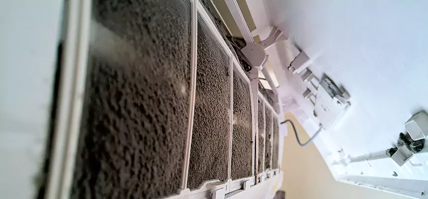 Preventive Air Duct Bacteria Removal in Rye