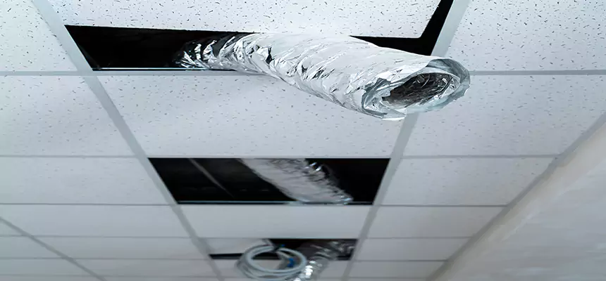 Affordable HVAC Sanitizing After Pest Removal in Rye