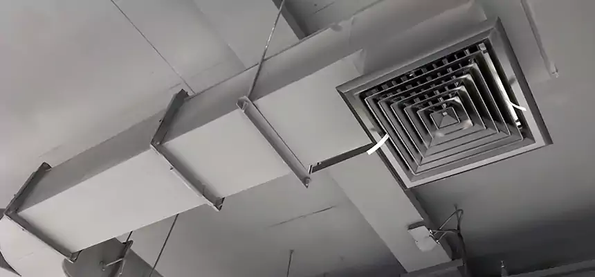 Restorative Allergy Relief Vent Cleaning – Coil, Blower & Housing Detail in Rye