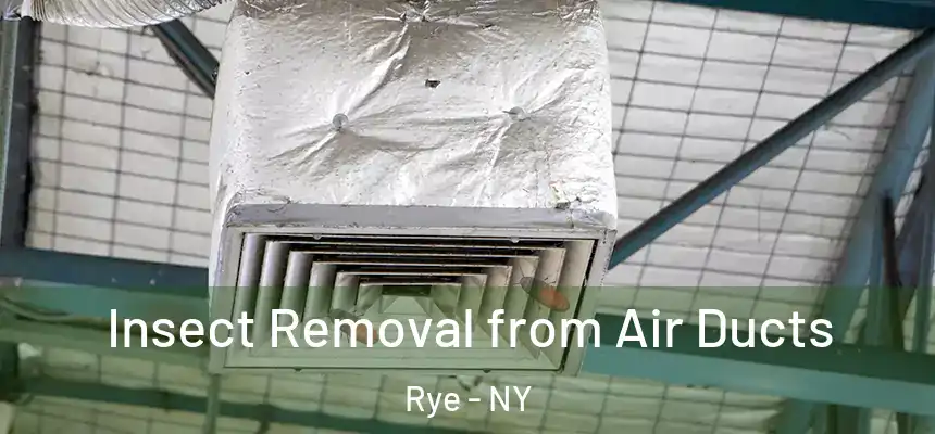  Insect Removal from Air Ducts Rye - NY