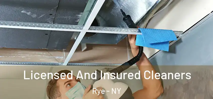  Licensed And Insured Cleaners Rye - NY