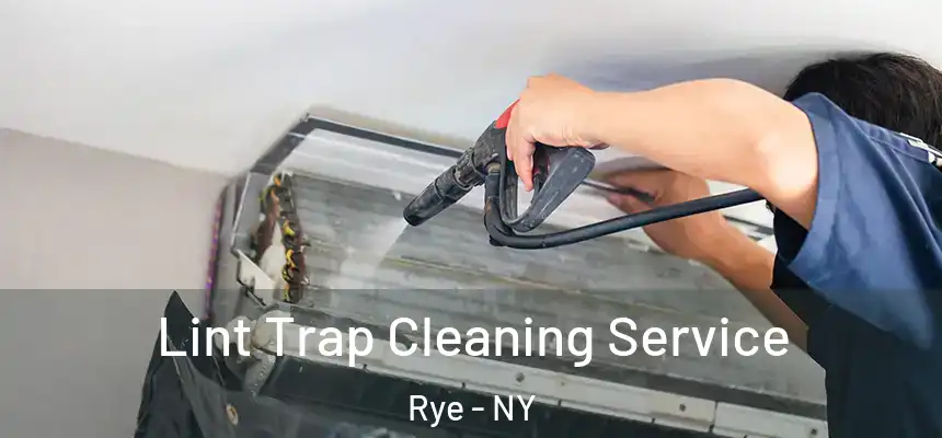  Lint Trap Cleaning Service Rye - NY