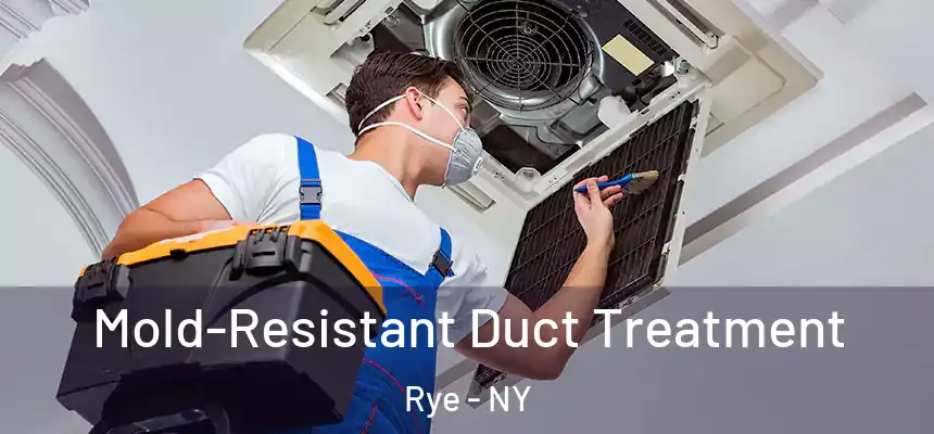  Mold-Resistant Duct Treatment Rye - NY