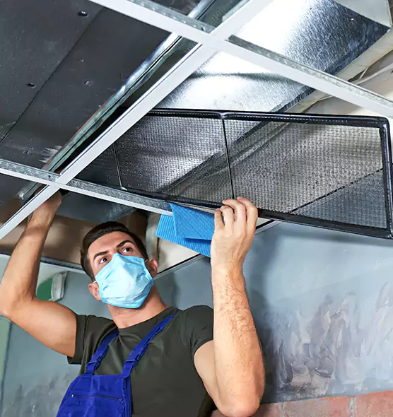 Professional Air Duct Pollen Cleaning in Rye, NY