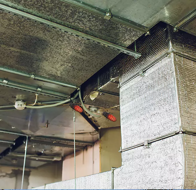 Why Homeowners & Businesses Trust Us in Rye, NY?