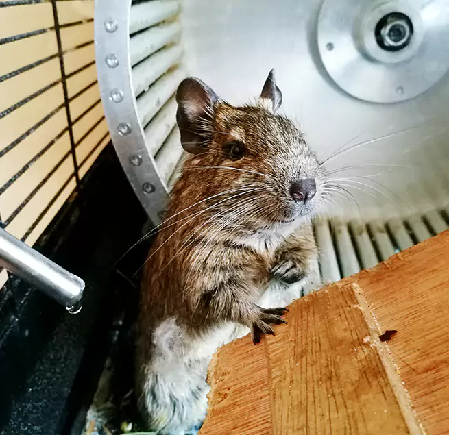 Why Homeowners & Businesses Trust Us Rye, NY?