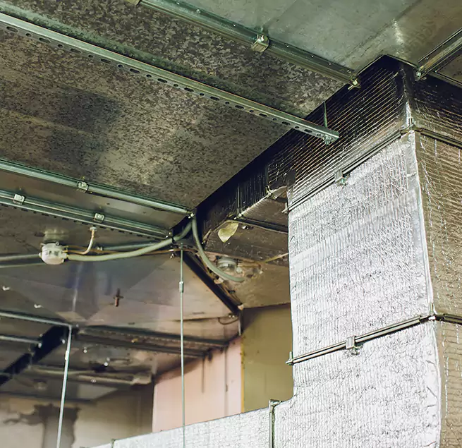 Why Homeowners & Businesses Trust Us in Rye, NY?